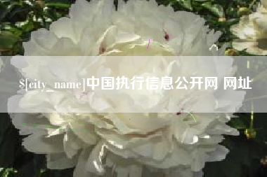 祁阳中国执行信息公开网 网址
