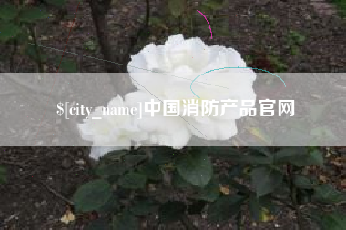 祁阳中国消防产品官网