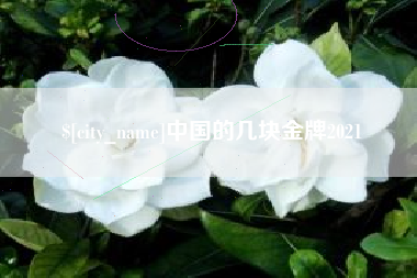 祁阳中国的几块金牌2021