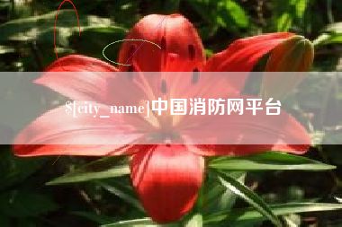 祁阳中国消防网平台