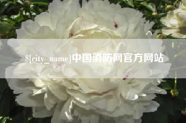 祁阳中国消防网官方网站