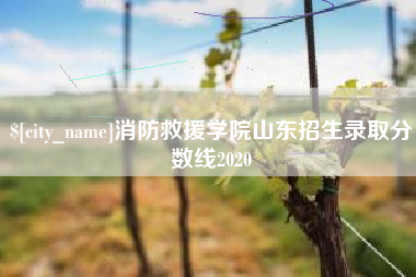 祁阳消防救援学院山东招生录取分数线2020