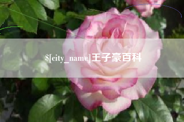 祁阳王子豪百科