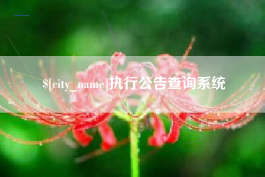 祁阳执行公告查询系统