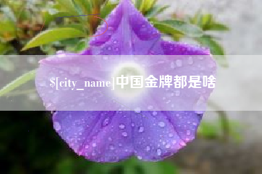 祁阳中国金牌都是啥