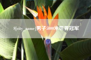 祁阳男子5000米世界冠军