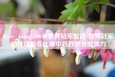 祁阳5000米世界冠军配速-世界冠军们往往能在比赛中巧妙地分配体力