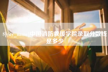 祁阳中国消防救援学院录取分数线是多少