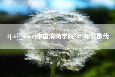 祁阳中国消防学院2024年分数线