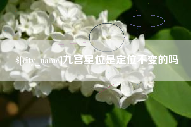 祁阳九宫星位是定位不变的吗
