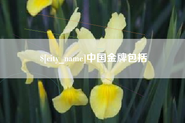 祁阳中国金牌包括
