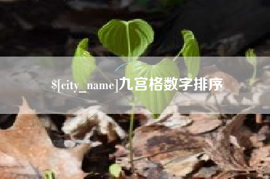 祁阳九宫格数字排序