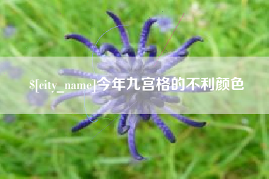 祁阳今年九宫格的不利颜色