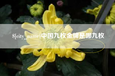 祁阳中国九枚金牌是哪九枚