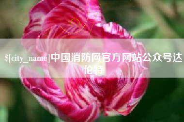 祁阳中国消防网官方网站公众号达伦特