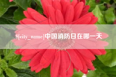 祁阳中国消防日在哪一天