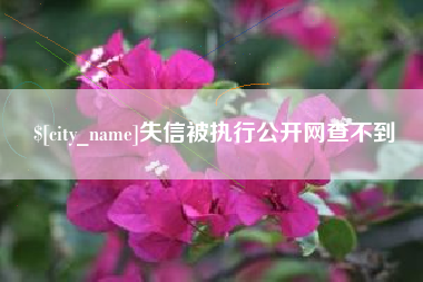祁阳失信被执行公开网查不到