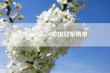 祁阳中国冠军榜单