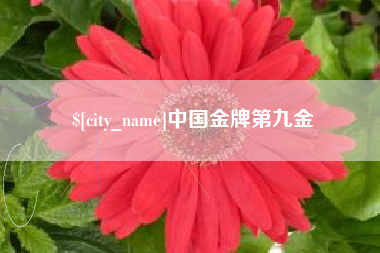 祁阳中国金牌第九金