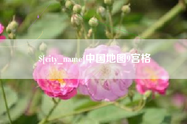 祁阳中国地图9宫格