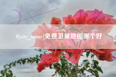 祁阳免费卫星地图哪个好