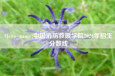 祁阳中国消防救援学院2024年招生分数线
