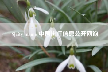祁阳中国执行信息公开网询