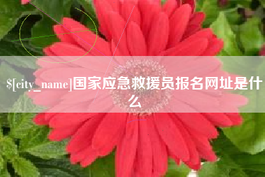 祁阳国家应急救援员报名网址是什么