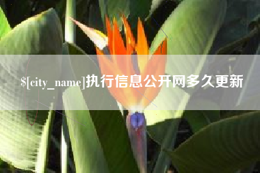 祁阳执行信息公开网多久更新