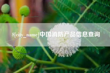 祁阳中国消防产品信息查询