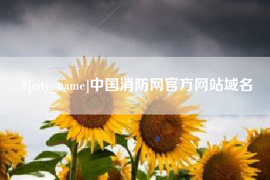 祁阳中国消防网官方网站域名