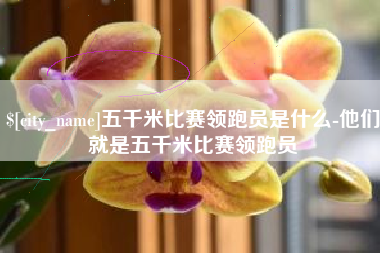 祁阳五千米比赛领跑员是什么-他们就是五千米比赛领跑员