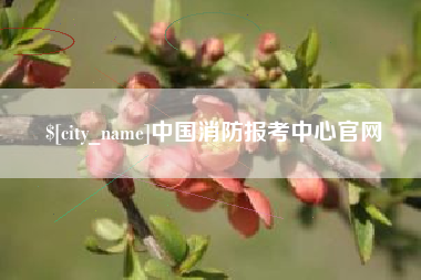 祁阳中国消防报考中心官网