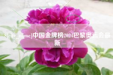 祁阳中国金牌榜2024巴黎奥运会最新