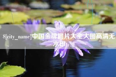 祁阳中国金牌图片大全大图高清无水印
