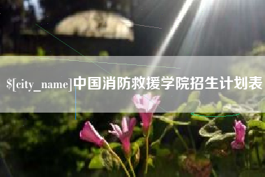祁阳中国消防救援学院招生计划表