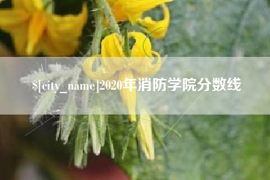 祁阳2020年消防学院分数线