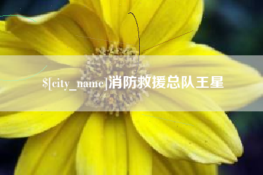 祁阳消防救援总队王星