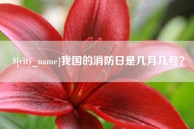 祁阳我国的消防日是几月几号？