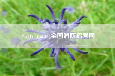 祁阳全国消防招考网