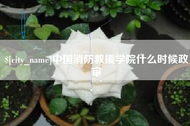 祁阳中国消防救援学院什么时候政审