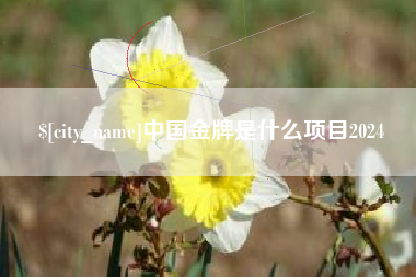 祁阳中国金牌是什么项目2024