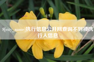 祁阳执行信息公开网查询不到被执行人信息