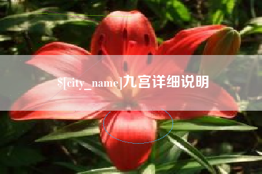 祁阳九宫详细说明