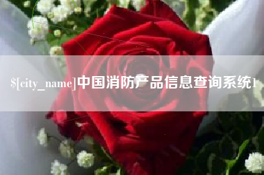 祁阳中国消防产品信息查询系统1