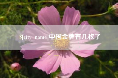 祁阳中国金牌有几枚了