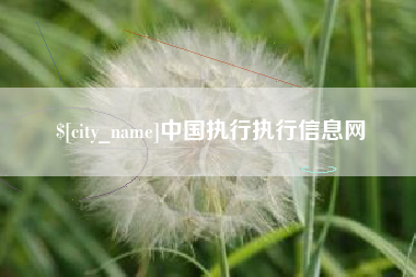 祁阳中国执行执行信息网