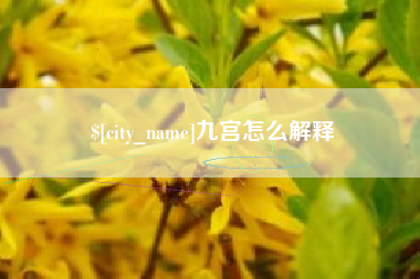 祁阳九宫怎么解释