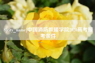 祁阳中国消防救援学院2020高考报考条件