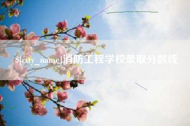 祁阳消防工程学校录取分数线